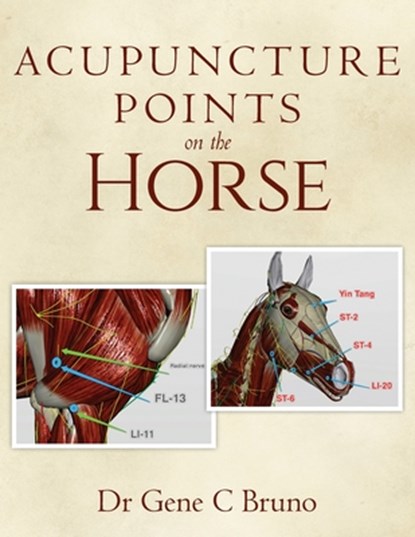 Acupuncture Points on the Horse, Gene C Bruno - Paperback - 9781542468770