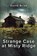 The Strange Case at Misty Ridge, BRIAN,  David - Paperback - 9781542503044