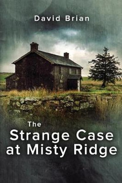 The Strange Case at Misty Ridge, BRIAN,  David - Paperback - 9781542503044