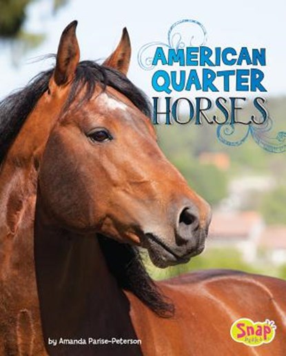 American Quarter Horses, Amanda Parise-Peterson - Gebonden - 9781543500325