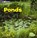 Ponds, SHORES,  Erika L. - Gebonden - 9781543514667