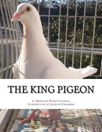 The King Pigeon, Jackson Chambers - Paperback - 9781545580691