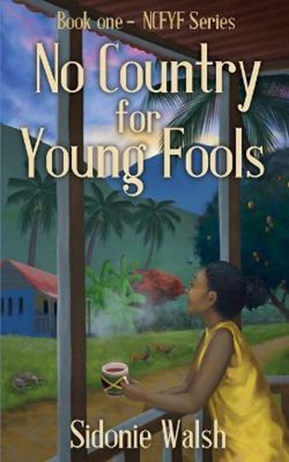 No Country For Young Fools, WALSH,  Sidonie - Paperback - 9781545677933