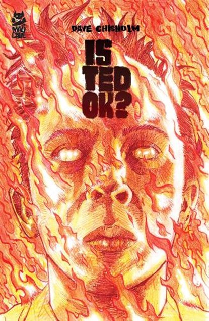 Is Ted OK?, Dave Chisholm - Paperback - 9781545829981