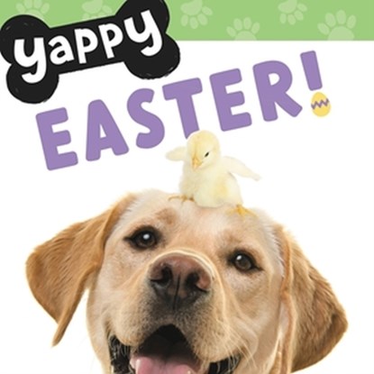 Yappy Easter!, WorthyKids - Gebonden - 9781546006466