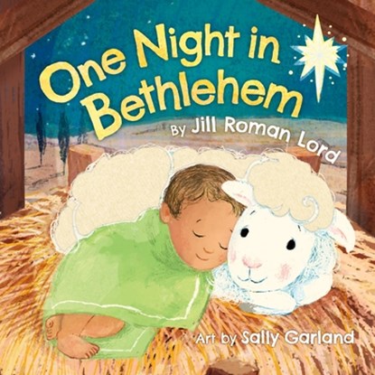 One Night In Bethlehem, Jill R Lord - Gebonden - 9781546008675