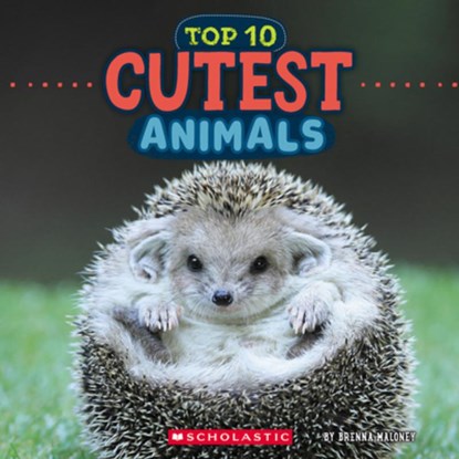 Top 10 Cutest Animals, Brenna Maloney - Paperback - 9781546136125