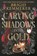Kemmerer, B: Carving Shadows Into Gold, Brigid Kemmerer - Gebonden - 9781547610105