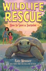 How to Save a Tortoise - Kate Messner - 9781547616497