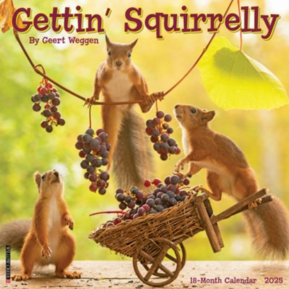 Gettin' Squirrelly 2026 12 X 12 Wall Calendar, Geert Weggen - Paperback - 9781549251252