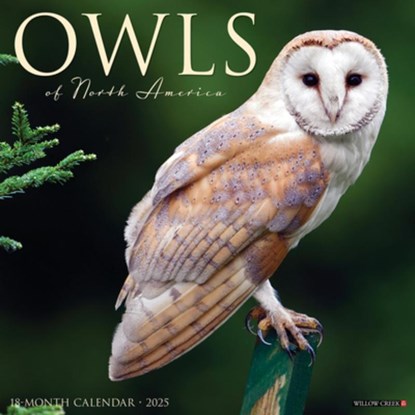 Owls 2026 12 X 12 Wall Calendar, Willow Creek Press - Gebonden - 9781549252266