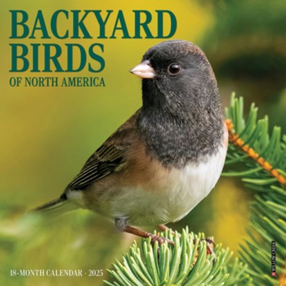 Backyard Birds 2026 7 X 7 Mini Wall Calendar, Willow Creek Press - Gebonden - 9781549253447