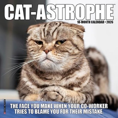 Cat-Astrophe 2026 7 X 7 Mini Wall Calendar, Willow Creek Press - Paperback - 9781549253492