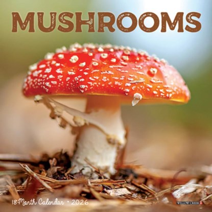 Mushrooms 2026 7 X 7 Mini Wall Calendar, Willow Creek Press - Paperback - 9781549253652
