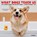 What Dogs Teach Us 2026 Mini Wall Calendar, Glen Dromgoole - Paperback - 9781549253836
