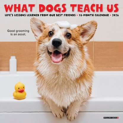 What Dogs Teach Us 2026 Mini Wall Calendar, Glen Dromgoole - Paperback - 9781549253836