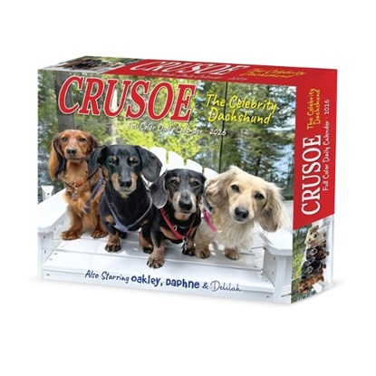 Crusoe the Celebrity Dachshund 2026 5.4 X 6.2 Box Calendar, Ryan Beauchesne - Paperback - 9781549254086