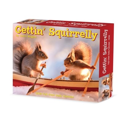 Gettin' Squirrelly 2026 5.4 X 6.2 Box Calendar, Geert Weggen - Paperback - 9781549254185