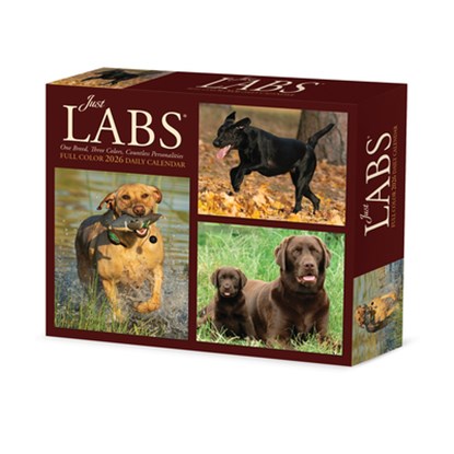 Just Labs 2026 Box Calendar, Willow Creek Press - Paperback - 9781549254277