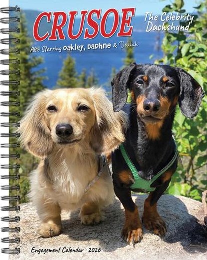 Crusoe the Celebrity Dachshund 2026 6.5 X 8.5 Engagement Calendar, Ryan Beauchesne - Paperback - 9781549254611