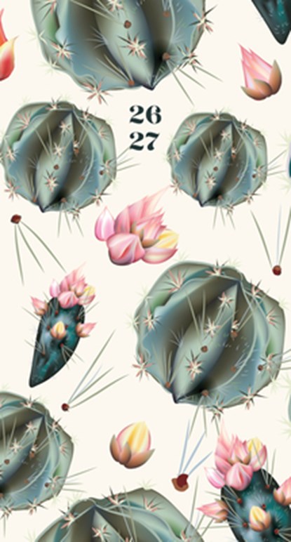 Cactus Deco 2-Year 2026-27 3.5 X 6.5 Monthly Pocket Planner, Willow Creek Press - Gebonden - 9781549257636