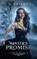 Winter's Promise, G Bailey - Paperback - 9781549738135