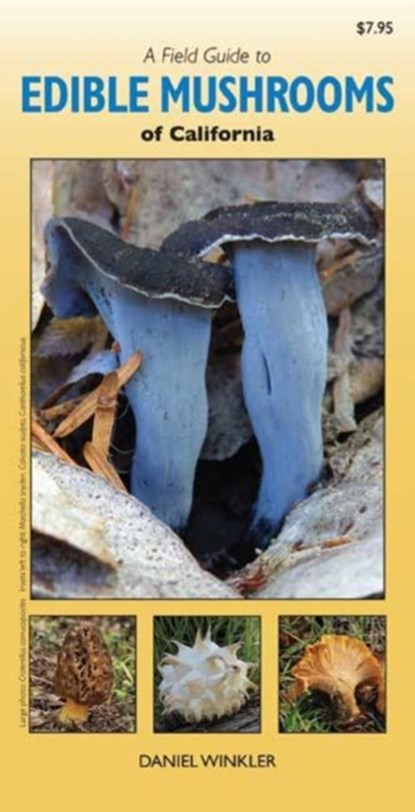 Field Guide to Edible Mushrooms of California, Daniel Winkler - Gebonden - 9781550175899