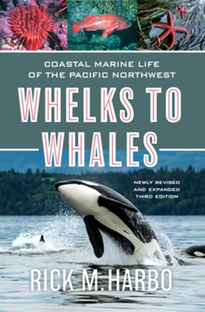 Whelks to Whales, Rick M. Harbo - Paperback - 9781550179835
