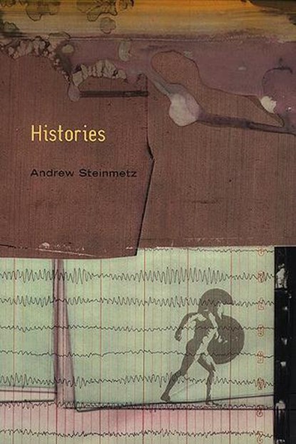 Histories, STEINMETZ,  Andrew - Paperback - 9781550651416