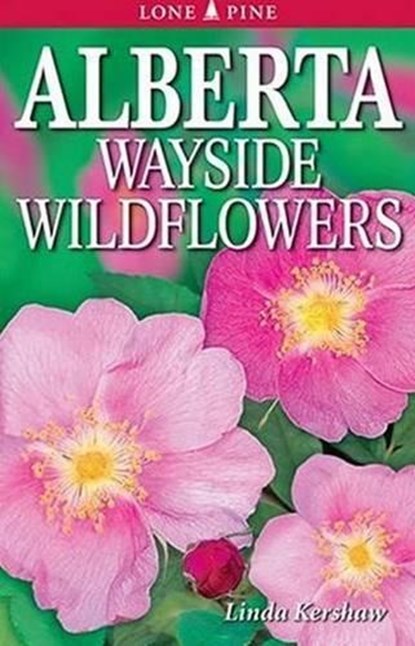 Alberta Wayside Wildflowers, Linda Kershaw ; Dawn Loewen - Paperback - 9781551053509