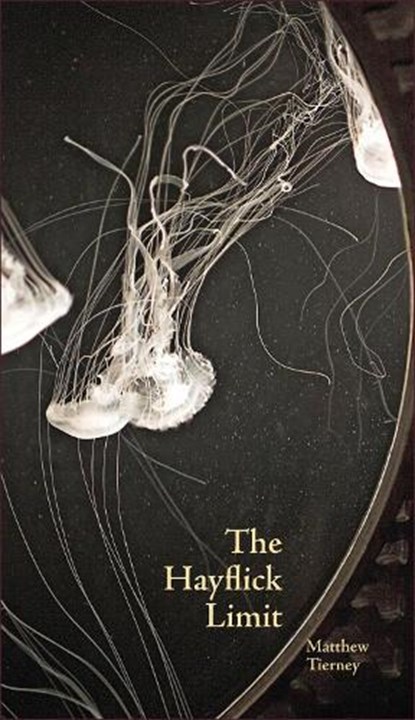 The Hayflick Limit, Matthew Tierney - Paperback - 9781552452172