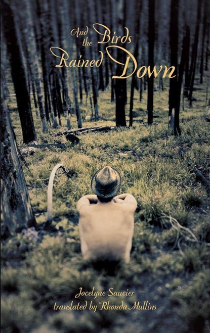 And the Birds Rained Down, Jocelyne Saucier - Paperback - 9781552452684