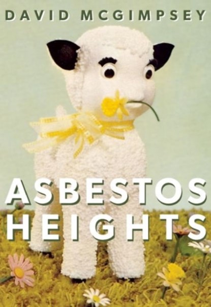Asbestos Heights, David McGimpsey - Paperback - 9781552453094