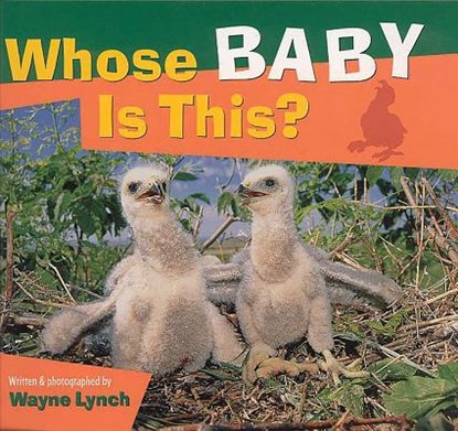 Whose Baby Is This?, Wayne Lynch - Paperback - 9781552850640