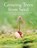 Growing Trees from Seed, Henry Kock ; Paul Aird ; John Ambrose ; Gerald Waldron - Gebonden - 9781554073634