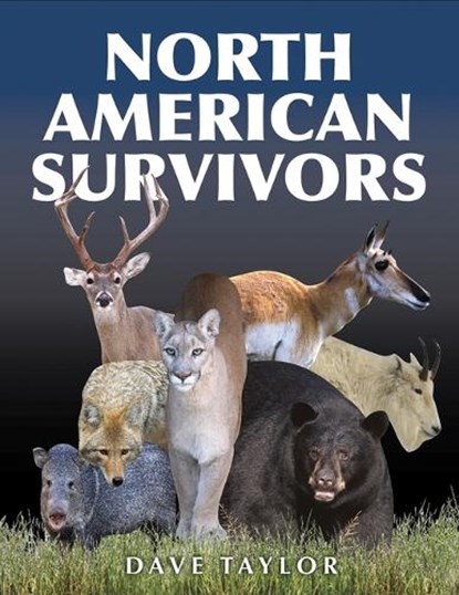 North American Survivors, Dave Taylor - Gebonden - 9781554555956
