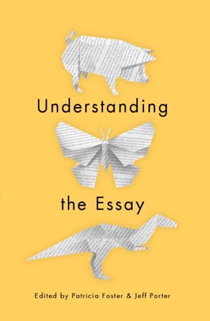 Understanding the Essay, Patricia Foster ; Jeff Porter - Paperback - 9781554810208