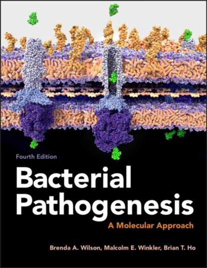 Bacterial Pathogenesis, Brenda A. (University of Illinois at Urbana-Champaign Wilson ; Malcolm (Indiana University Winkler ; Brian T. (University of London Ho - Paperback - 9781555819408