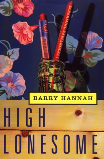 High Lonesome, Barry Hannah - Ebook - 9781555846442