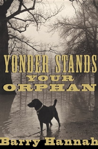 Yonder Stands Your Orphan, Barry Hannah - Ebook - 9781555846466