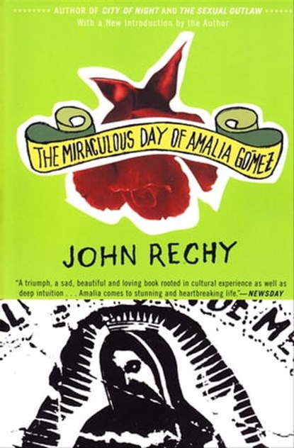 The Miraculous Day of Amalia Gómez, John Rechy - Ebook - 9781555847296