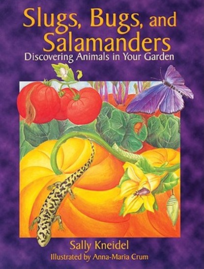 Slugs, Bugs, and Salamanders, Sally Kneidel - Paperback - 9781555913137