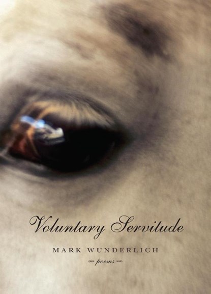 Voluntary Servitude, Mark Wunderlich - Paperback - 9781555974084