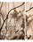 Blood Lyrics, Katie Ford - Paperback - 9781555976927