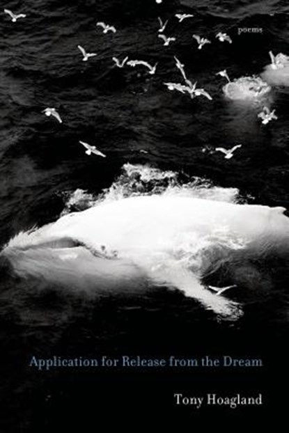 Application for Release from the Dream: Poems, Tony Hoagland - Paperback - 9781555977184