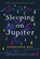 Sleeping on Jupiter, Anuradha Roy - Paperback - 9781555977511