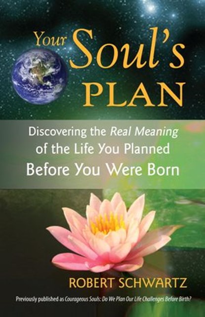 Your Soul's Plan, Robert Schwartz - Ebook - 9781556439520