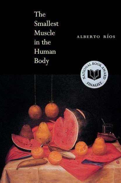 The Smallest Muscle in the Human Body, Alberto Ros - Paperback - 9781556591730