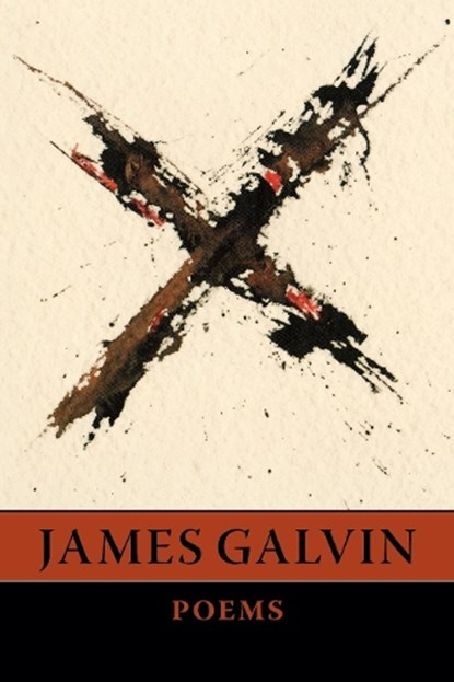 X, James Galvin - Paperback - 9781556591914