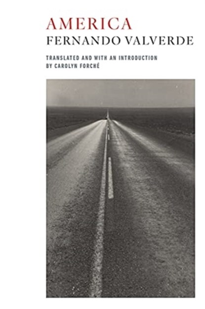 America, Fernando Valverde - Paperback - 9781556596223